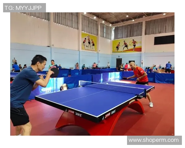 武汉乒乓球队杯赛表现分析：个人能力的精彩展现与未来发展潜力